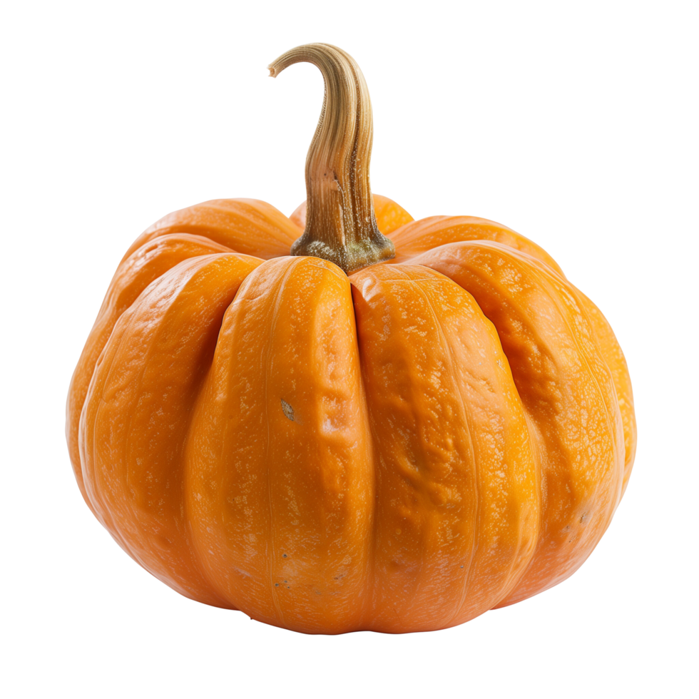 A vibrant orange pumpkin isolated on a transparent background png