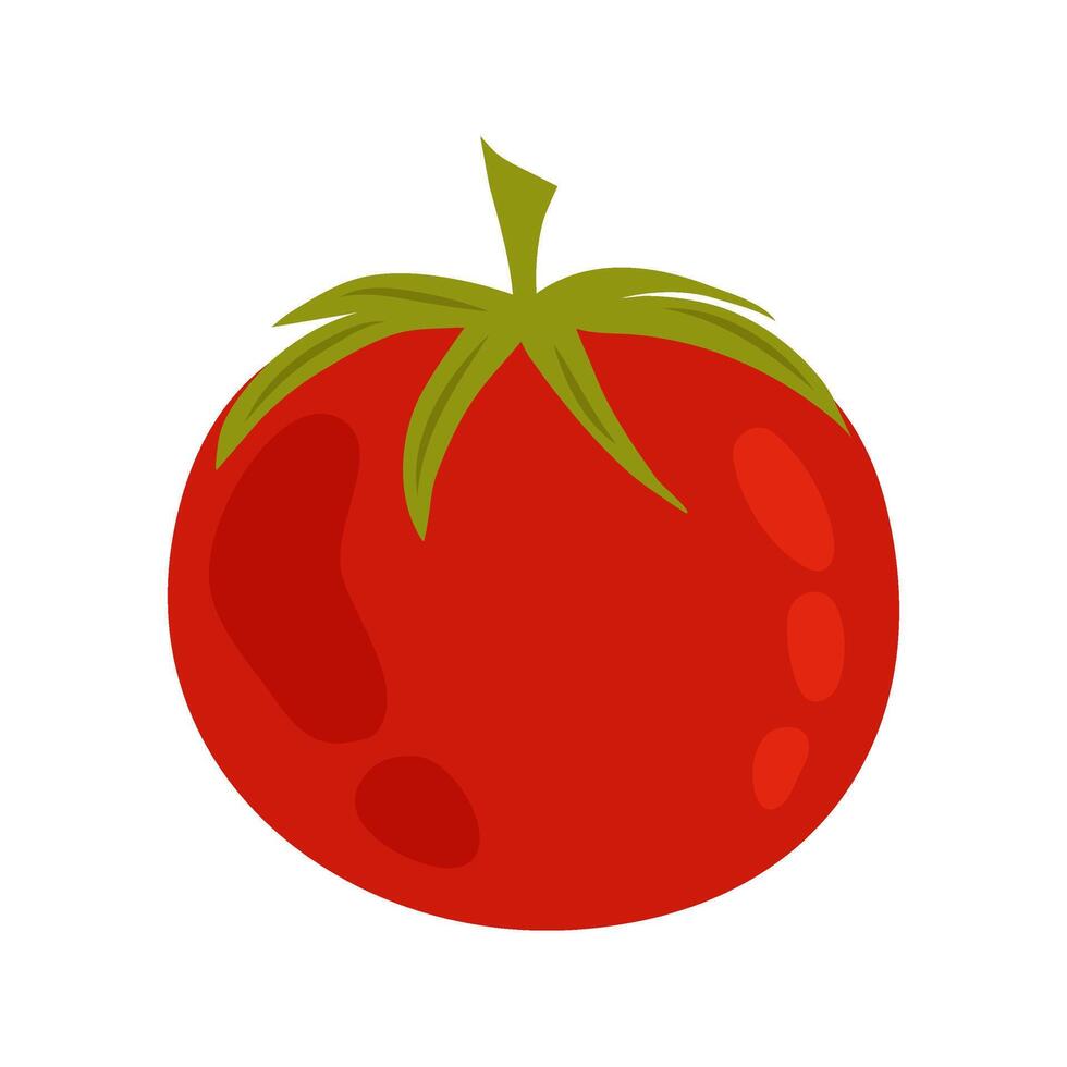 Flat style tomato. Vegetarian food. Cartoon illustration ripe tomato. Red tomato, ingredient for the salad. vector