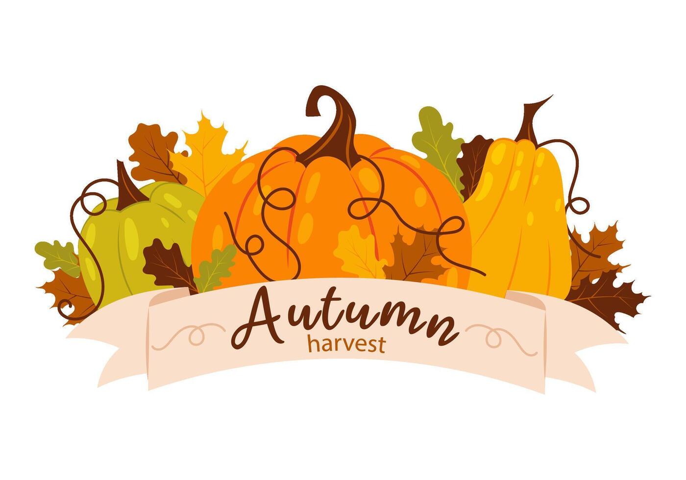 Autumn banner with ripe pumpkins and leaves on white background. Vegetables, fall harvest. Ripe pumpkin in flat style. Autumn lettering. vector