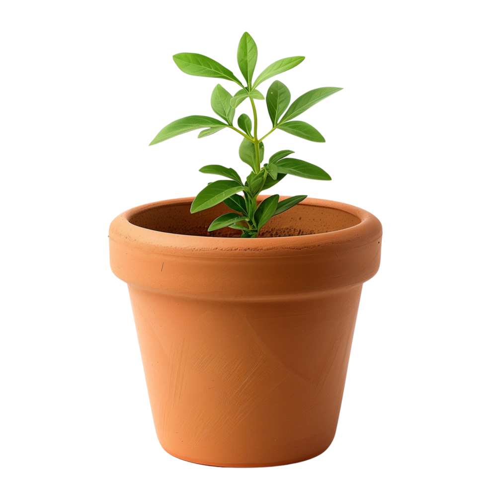 A simple terracotta flower pot isolated on a transparent background png
