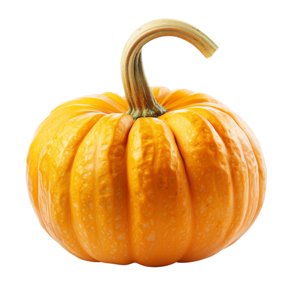 A vibrant orange pumpkin isolated on a transparent background png