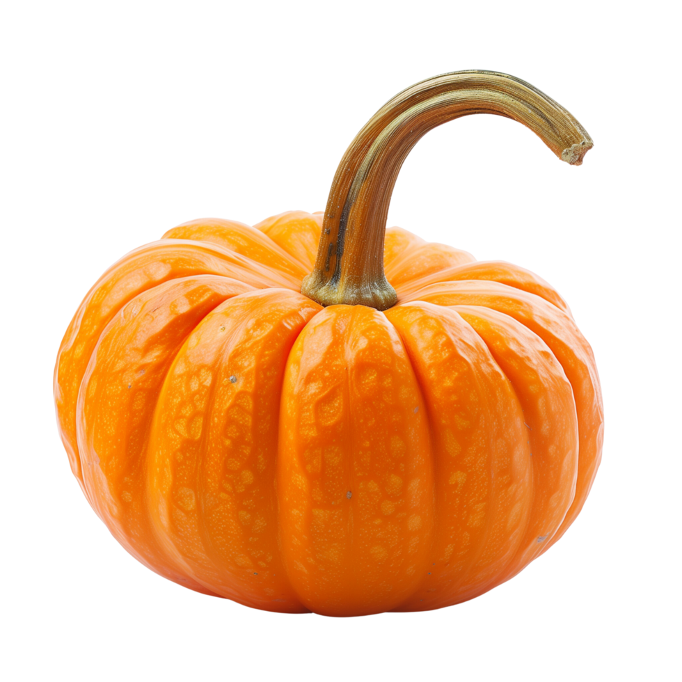 A vibrant orange pumpkin isolated on a transparent background png