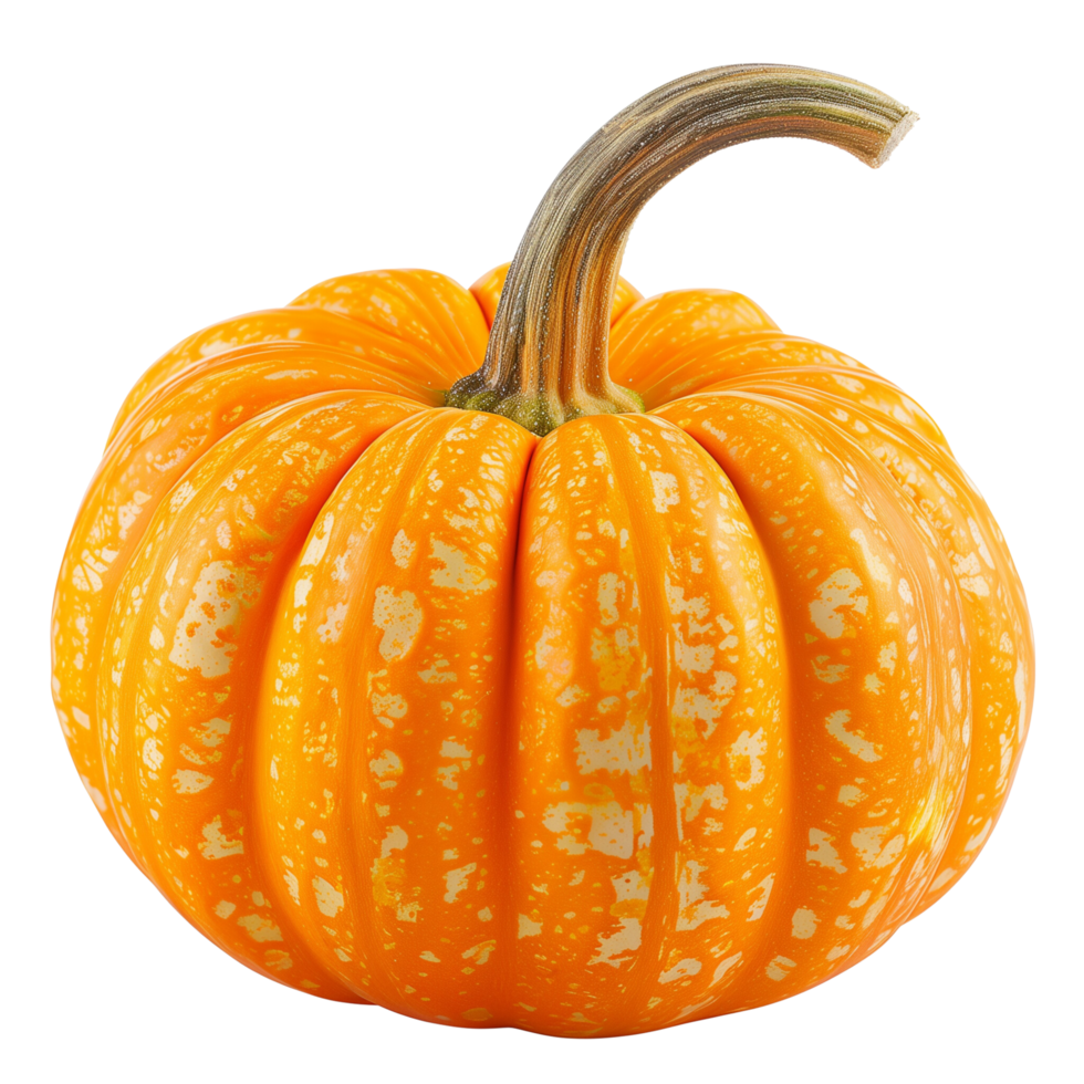 A vibrant orange pumpkin isolated on a transparent background png