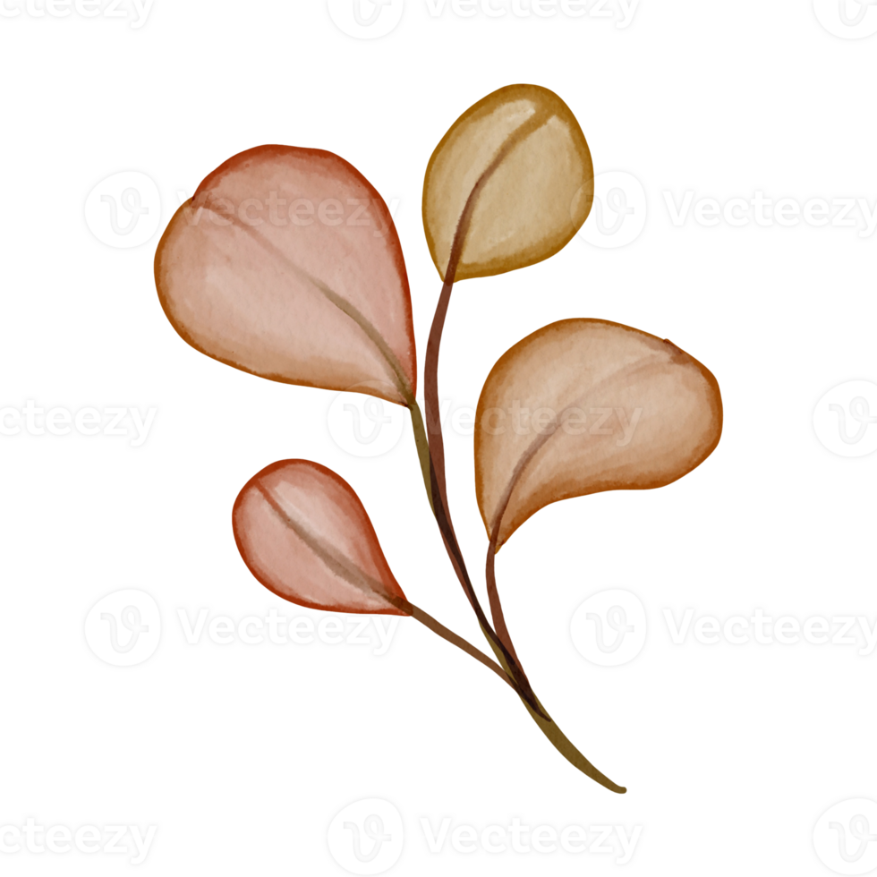 watercolor autumn eucalyptus png