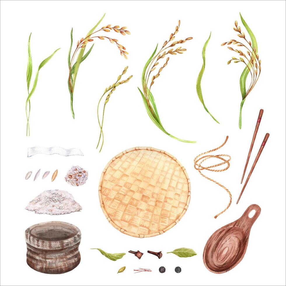 Rice crops and grains collection. Hand drawn watercolor illustration isolated from background. Traditional agricultural set with rice stalk, chopsticks and spices. Sack pouch with drawstring and spoon vector