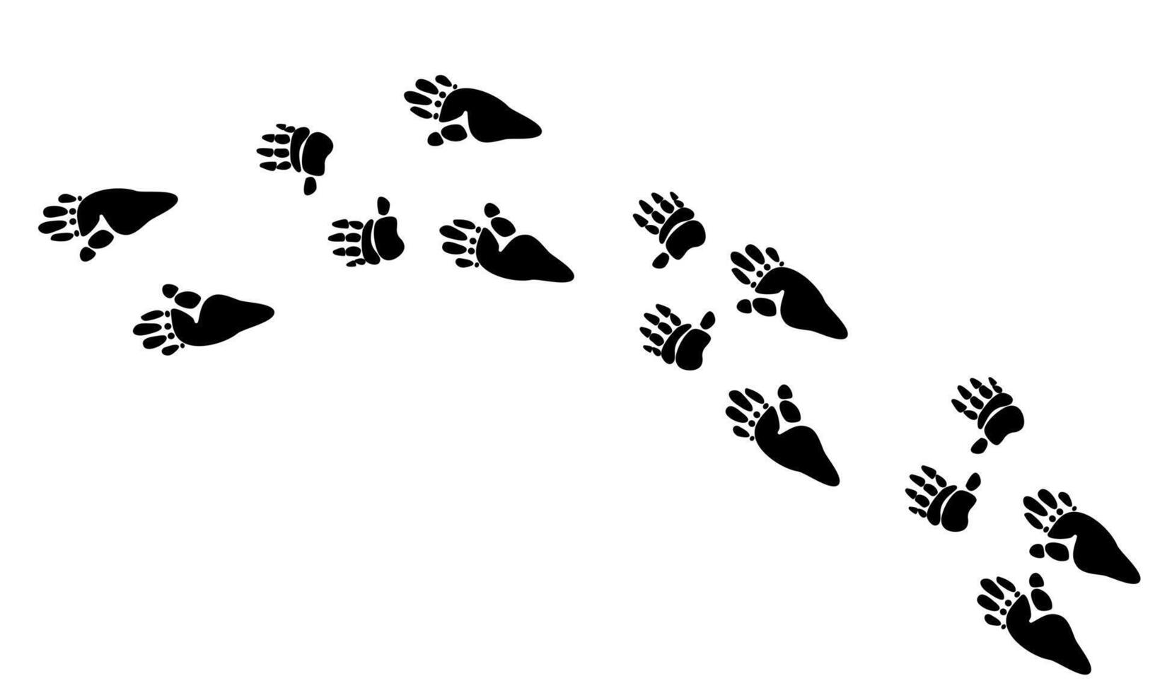 Baboon paw print black isolate on white background .African animal illustration, wild animal doodle style for different design uses , book, banner vector