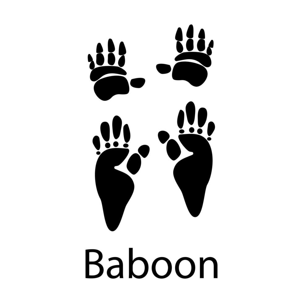 Baboon paw print black isolate on white background .African animal illustration, wild animal doodle style for different design uses , book, banner vector