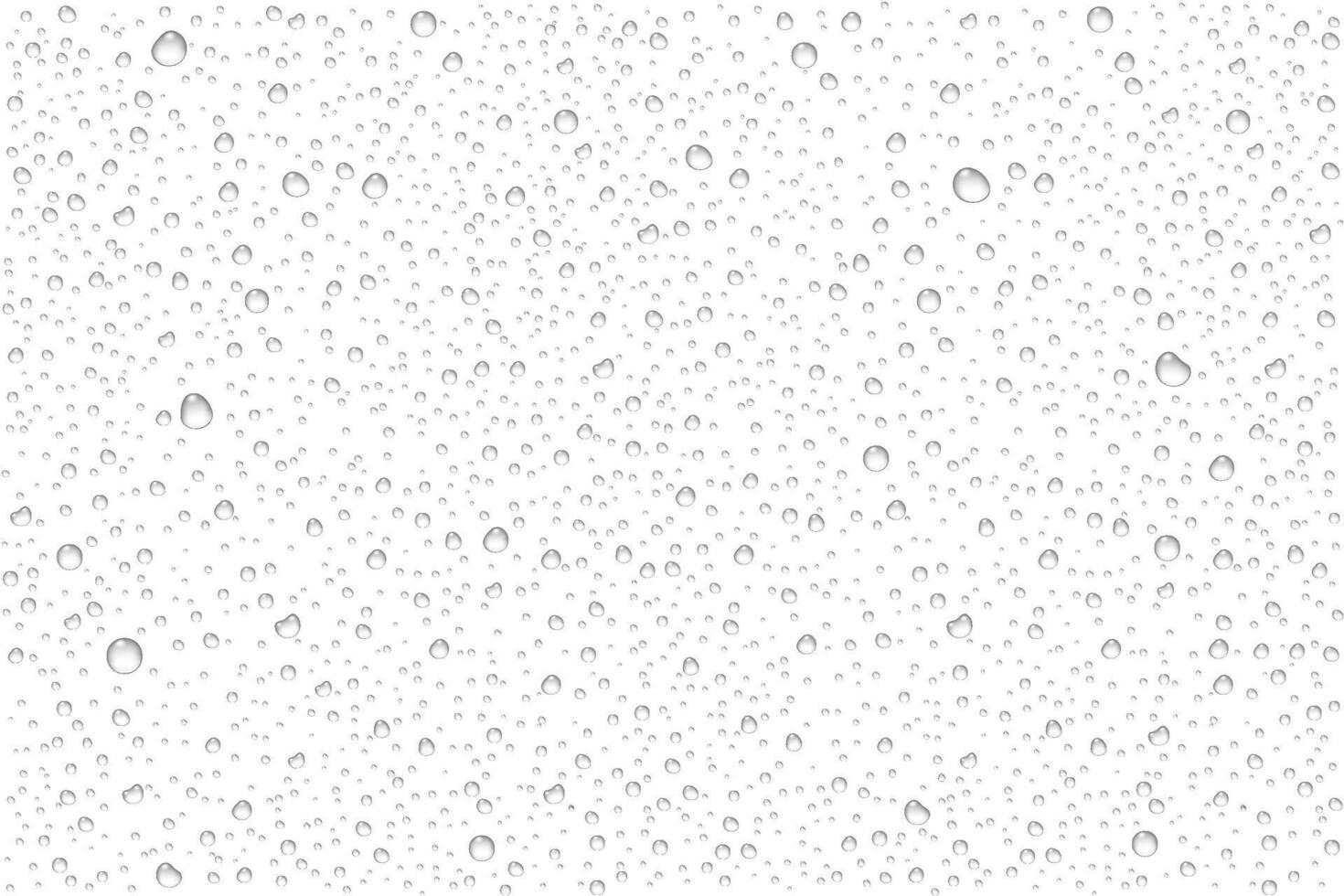 realistic water drops condensed vector