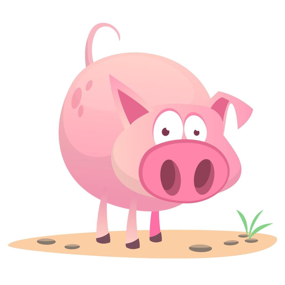 illustration of cute pig cartoon vector