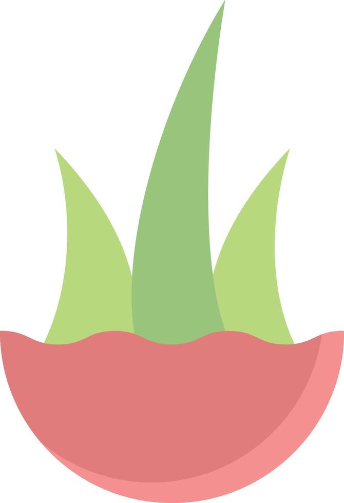 aloe vera illustration design vector