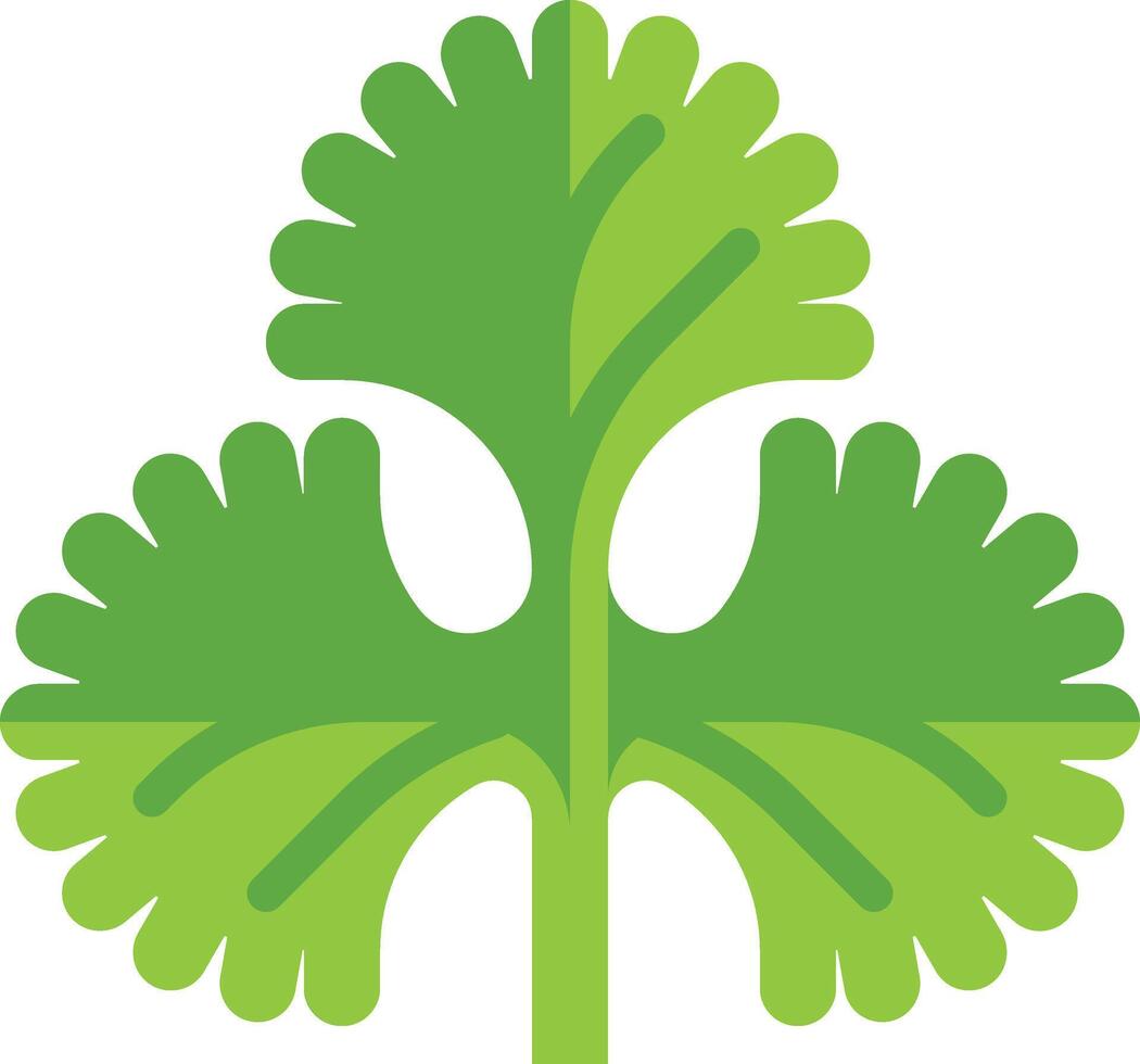 coriander illustration design vector