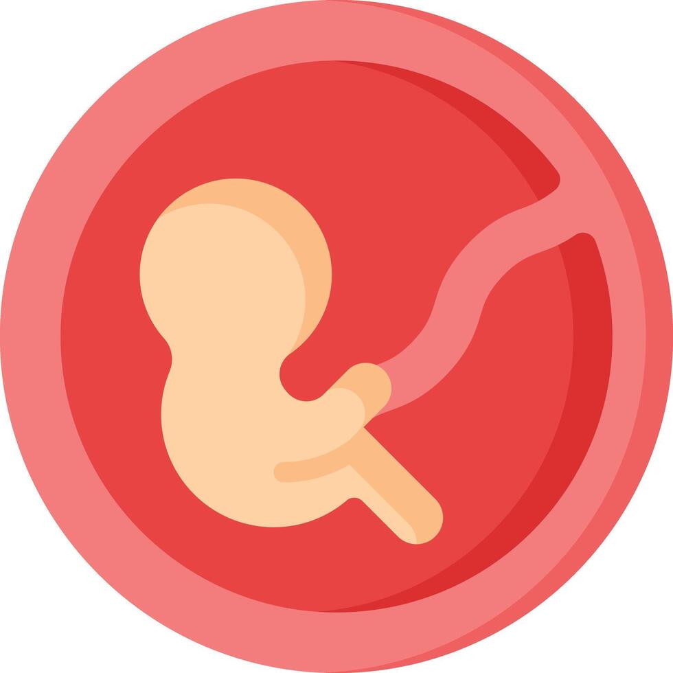 fetus illustration design vector