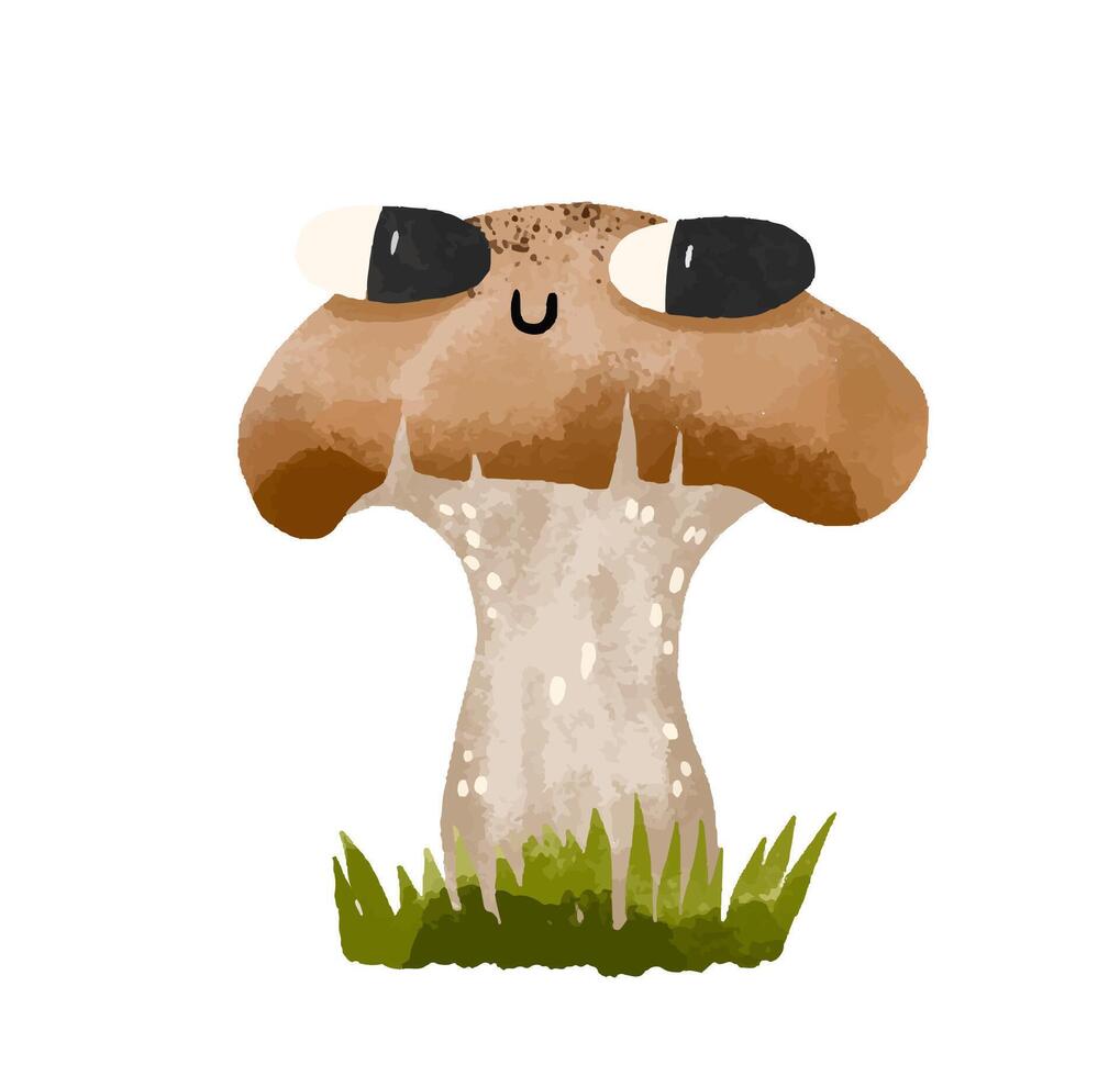 mushrooms. Collection of mycelium of fly agaric mushrooms. Chanterelles, champignons, toadstools and fly agarics. Fairytale mushrooms . Hand drawn cartoon illustration on isolated background vector