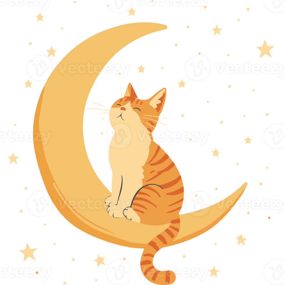 A cat sitting on a crescent moon png