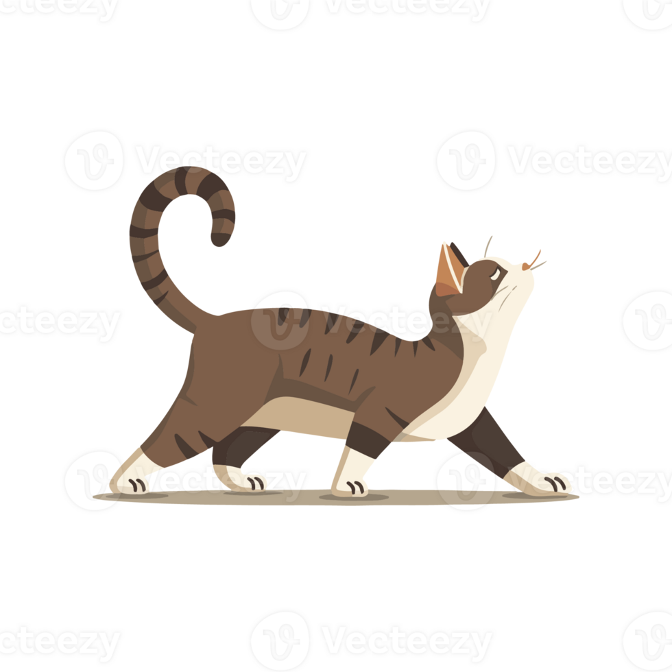A cat stretching with its back arched png
