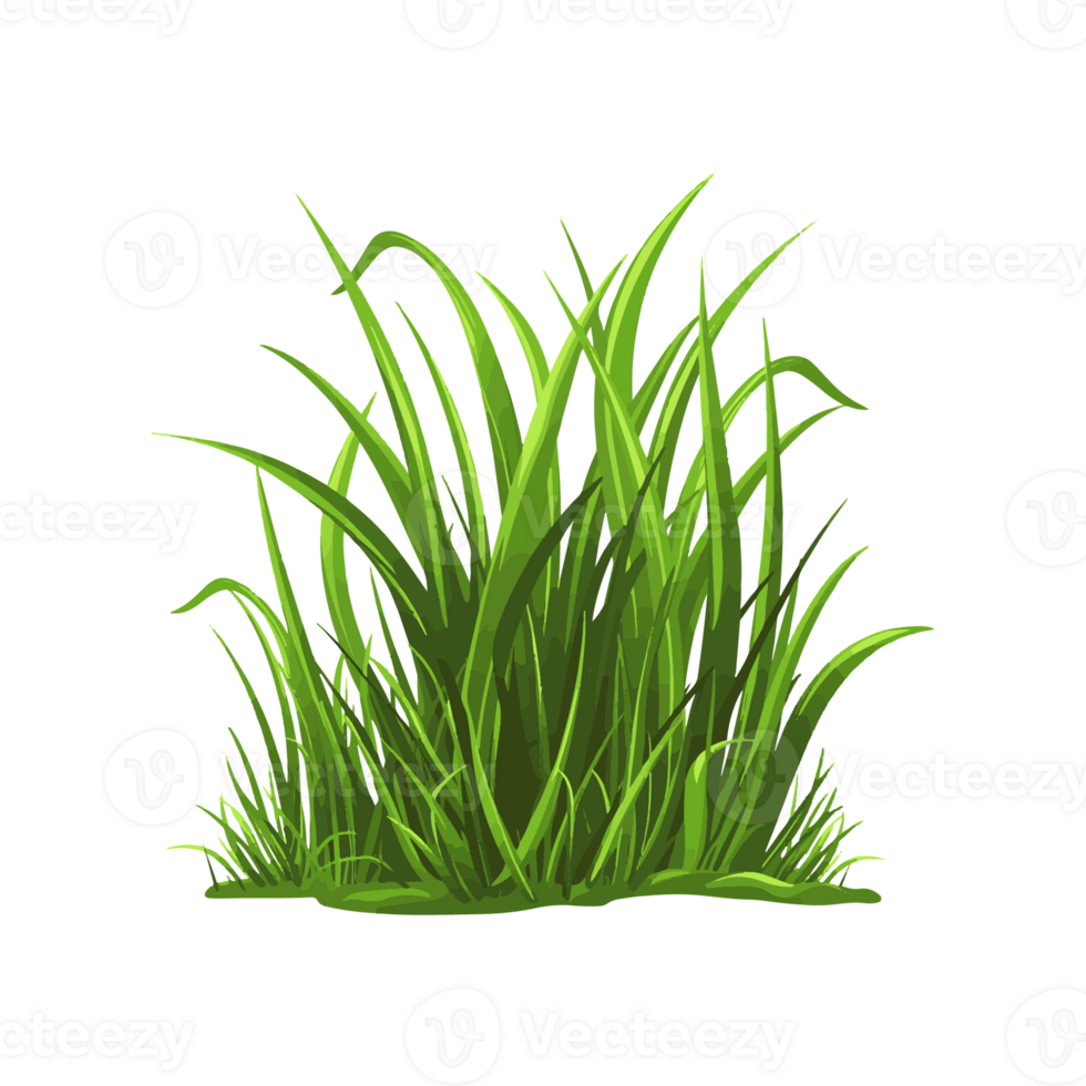 grass cartoon transparent background png