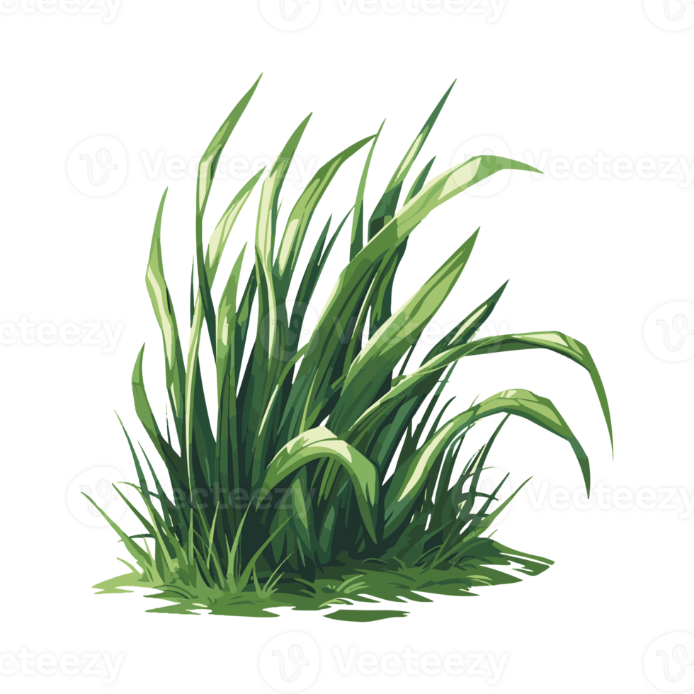 grass cartoon transparent background png