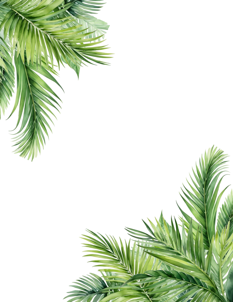 coconut leaves frame, palm leaf background png