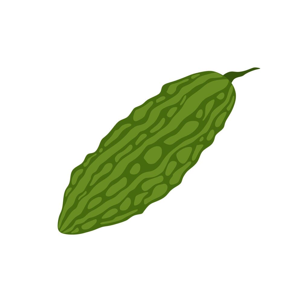 bitter gourd flat design illustration isolated on white background. Bitter melon vegetables with green leaf. Good organic food for healthy. Green fruit or vegetable.Balsam pear medical food vector