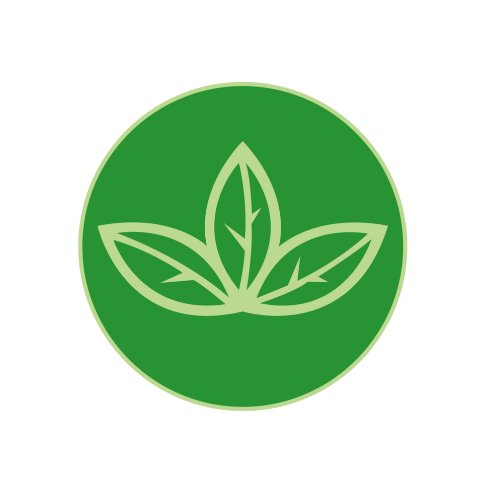 green leaves plant emblem banner eco friendly png