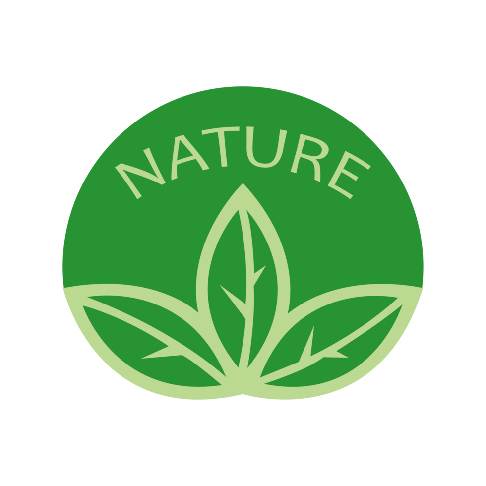 green leaves plant emblem banner eco friendly png