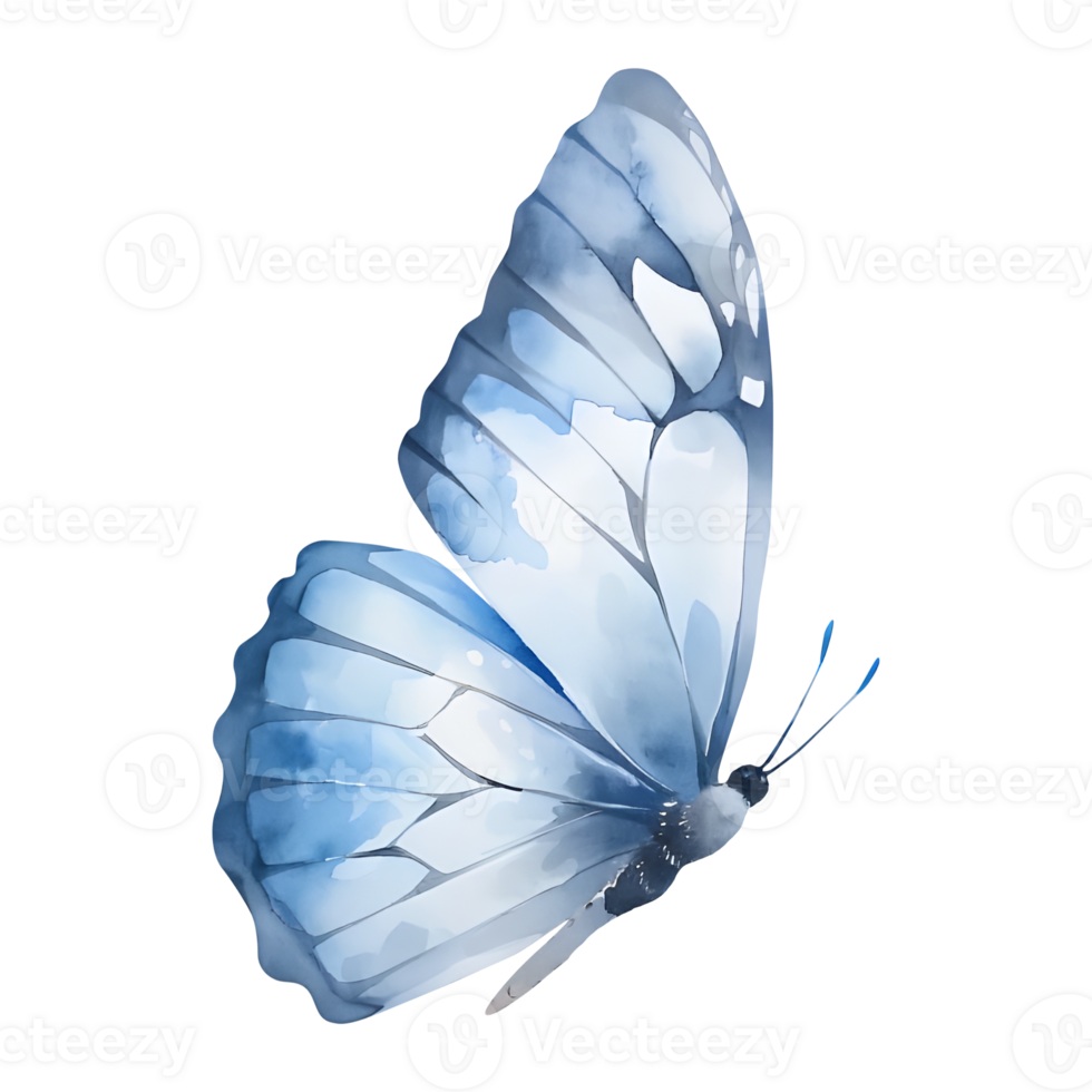 Watercolor delicate blue butterfly, nursery illustration png