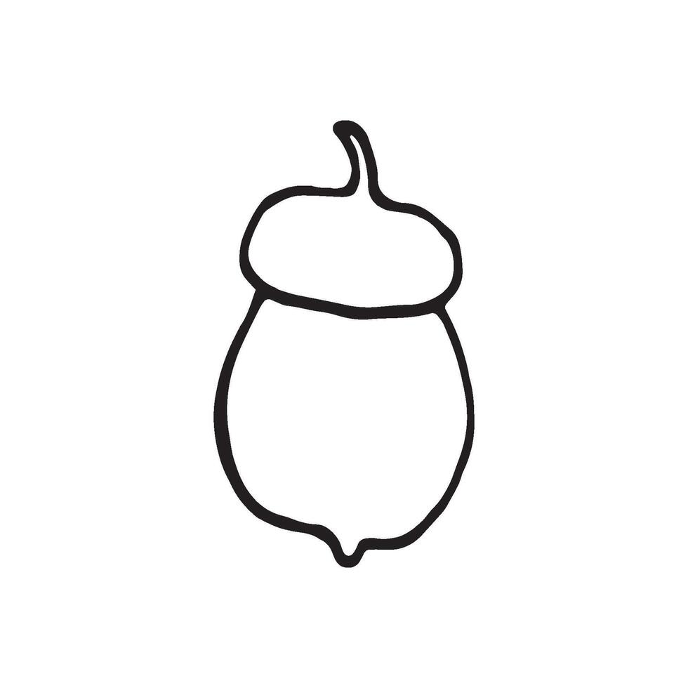 Single hand drawn acorn for autumn decoration. Doodle illustration. Isolated on white background vector