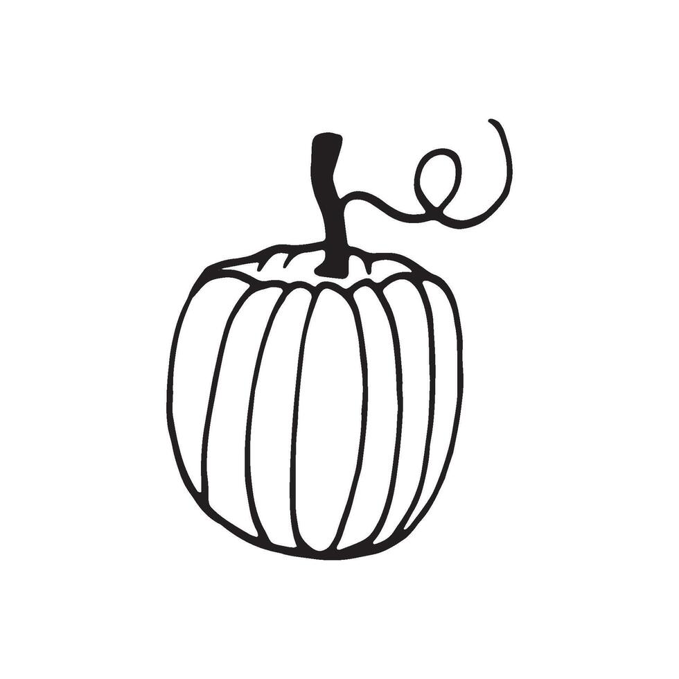 Hand drawn pumpkin in doodle style vector