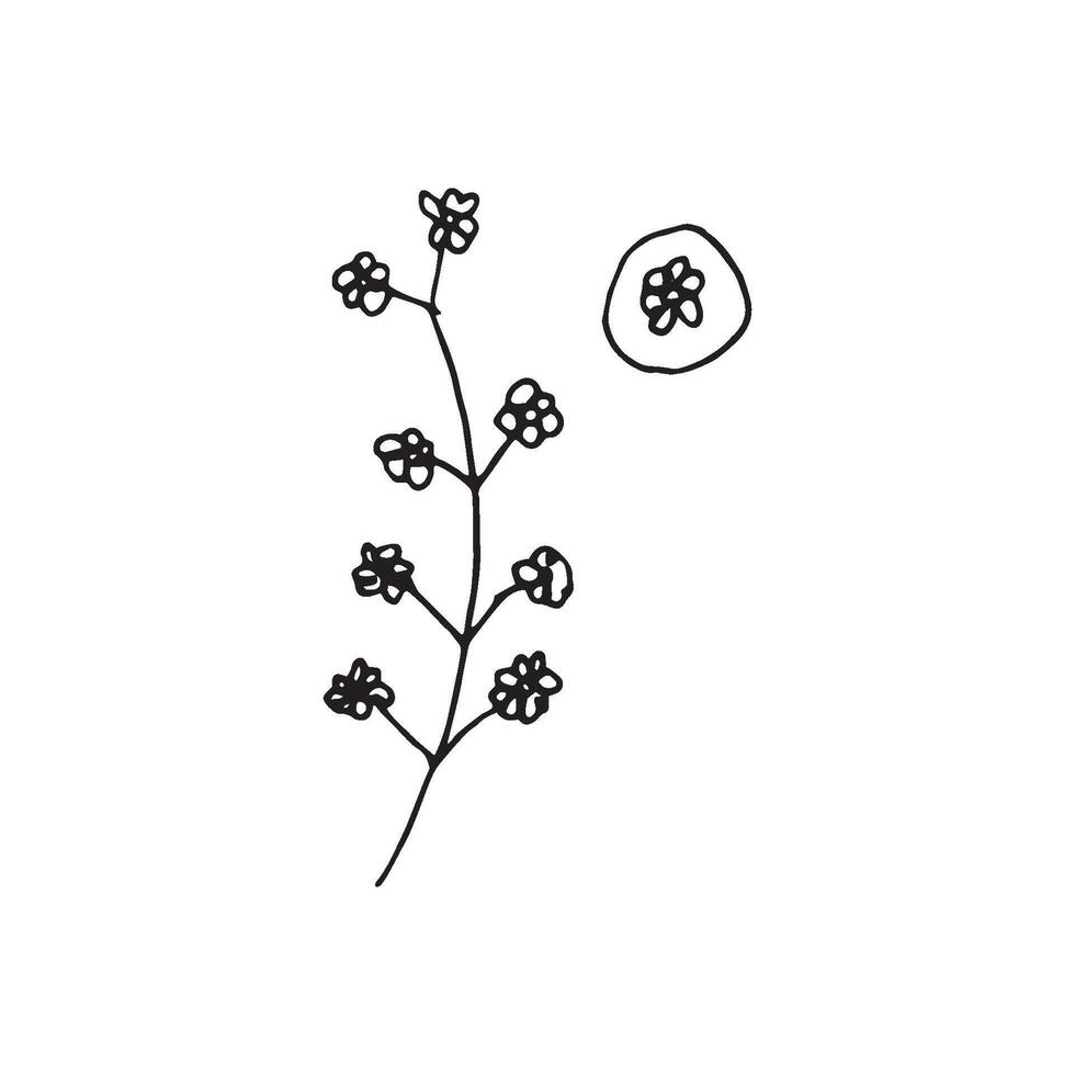 Cute single hand drawn floral elements. Doodle illustration for wedding design, logo and greeting card. vector