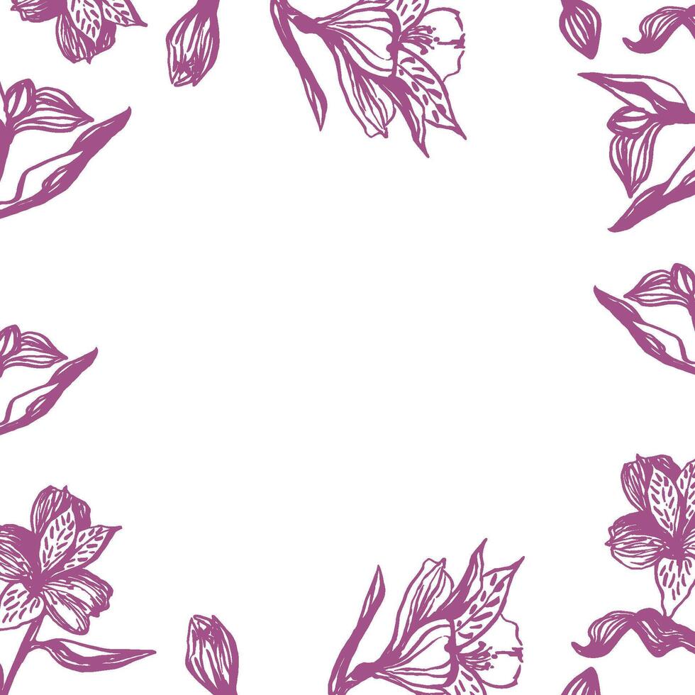Cute hand drawn realistic alstroemeria border. Traditional spring flowers in ink style for wedding decoration and background design. vector