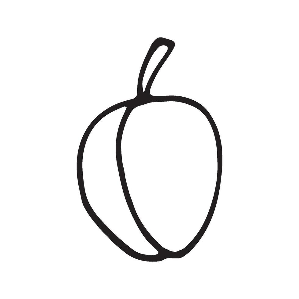 Single hand drawn peach or plum for greeting cards, posters, recipe, culinary design. Isolated on white background. Doodle illustration. vector