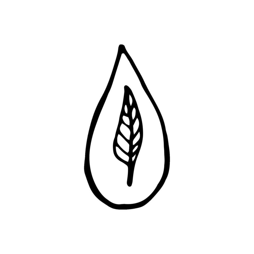 Single element of water drop with leaves in doodle ecology set. Hand drawn illustration about environment problems. Sketch elements set for graphic and web design. vector