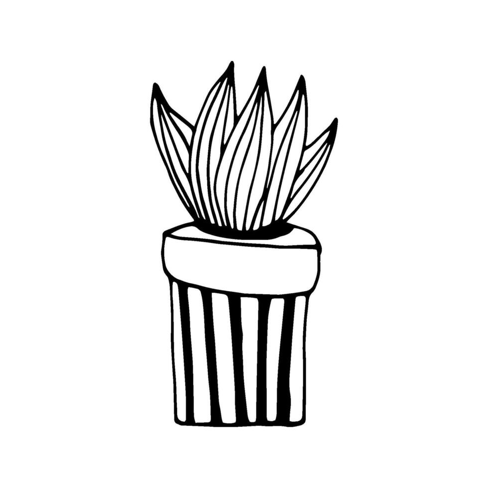 Single cute hand drawn cactus pot. Doodle illustration house plant for wedding design, logo, greeting card or seasonal design. Isolated on white background. vector
