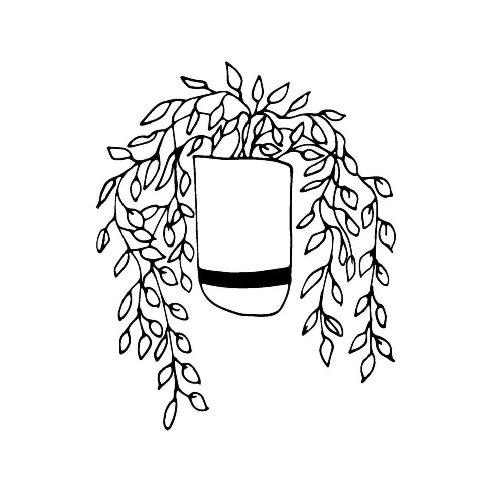 Cute hand drawn element of flower pot. Doodle illustration house plants for wedding design, logo and greeting card. Isolated on white background. vector