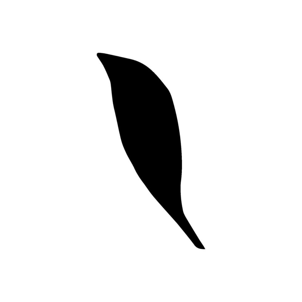 Cute hand drawn forest leaf, branch. Traditional leaves in ink, doodle style for wedding decoration and arrangements. vector