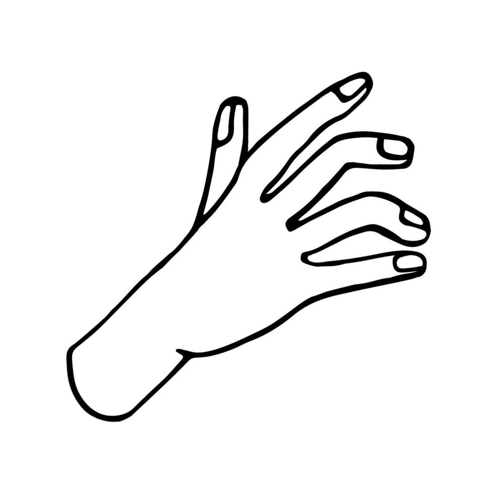 Hand drawn doodle illustration of palm, hand. Human concept design. Pointer sign, gesture vector