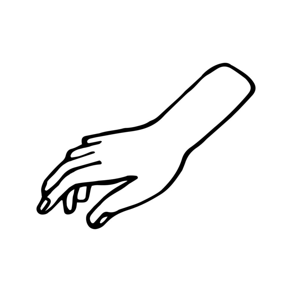 Hand drawn doodle illustration of palm, hand. Human concept design. Pointer sign, gesture vector