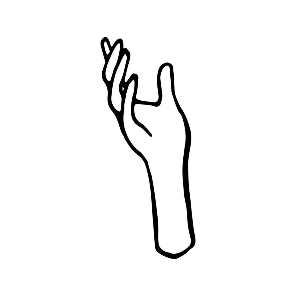 Hand drawn doodle illustration of palm, hand. Human concept design. Pointer sign, gesture vector