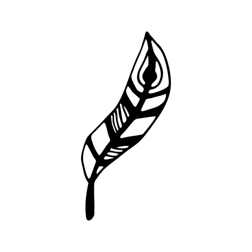 Single doodle elements feather. Hand drawn symbols writing and magic. Isolated on white backdrop. vector