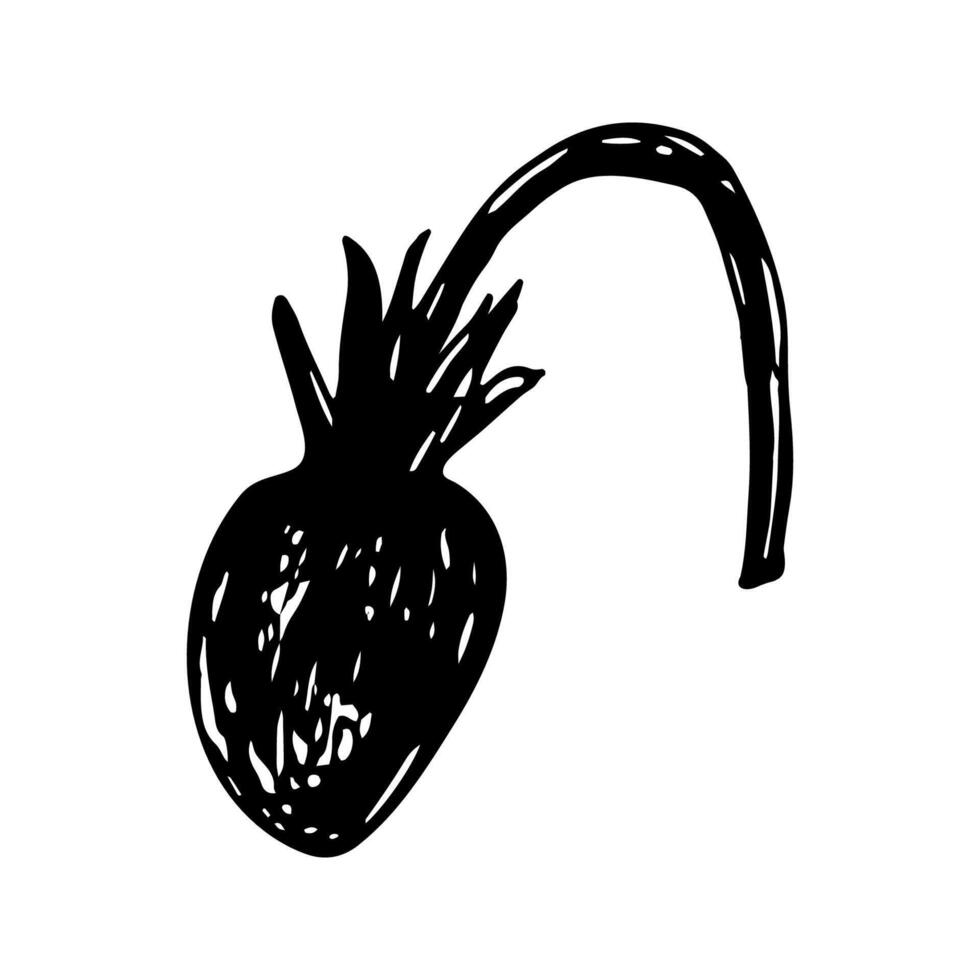 Strawberry sketch in hand drawn style. illustration, summer doodle on white background. Fresh berries for seasonal menu, dessert design, culinary books. vector