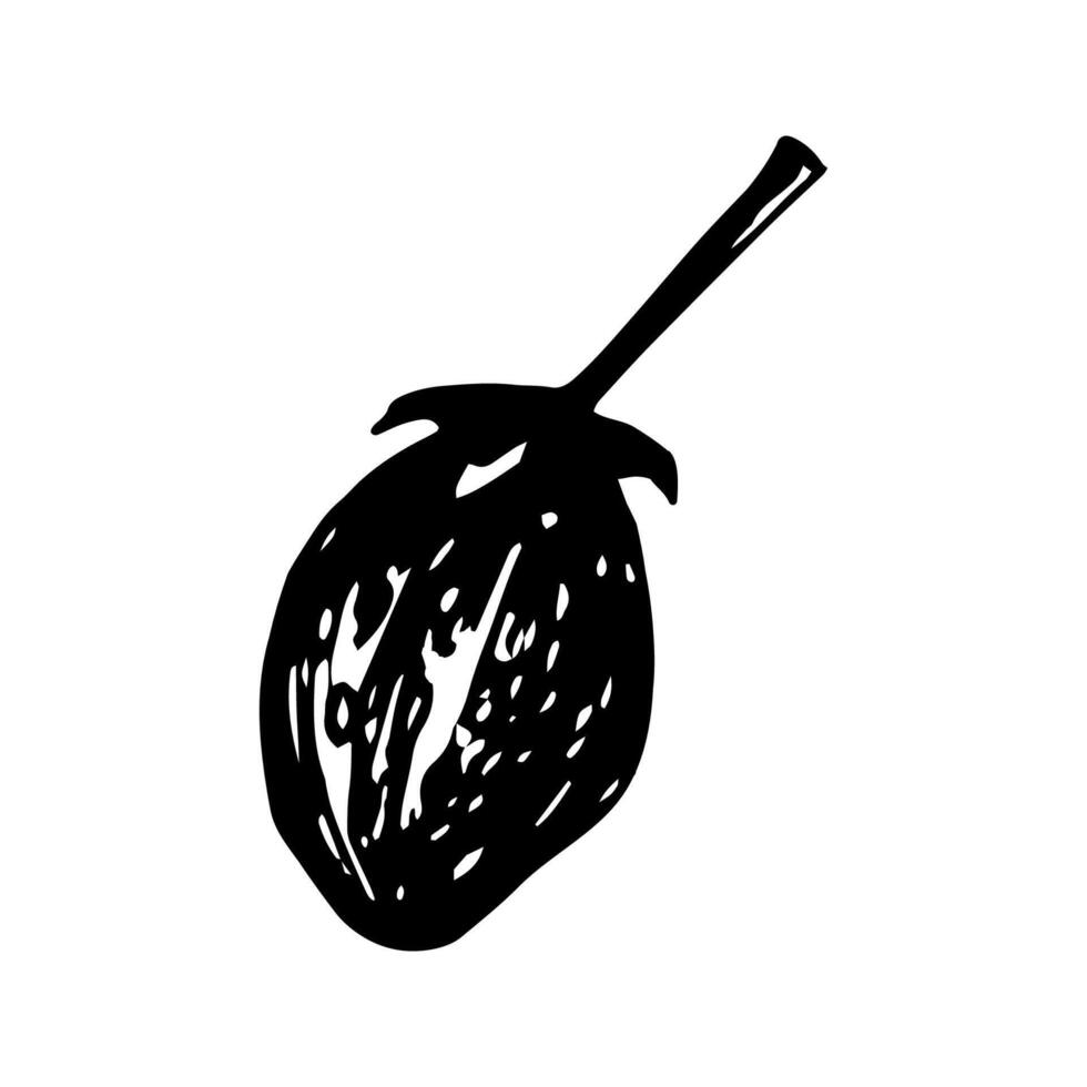 Strawberry sketch in hand drawn style. illustration, summer doodle on white background. Fresh berries for seasonal menu, dessert design, culinary books. vector