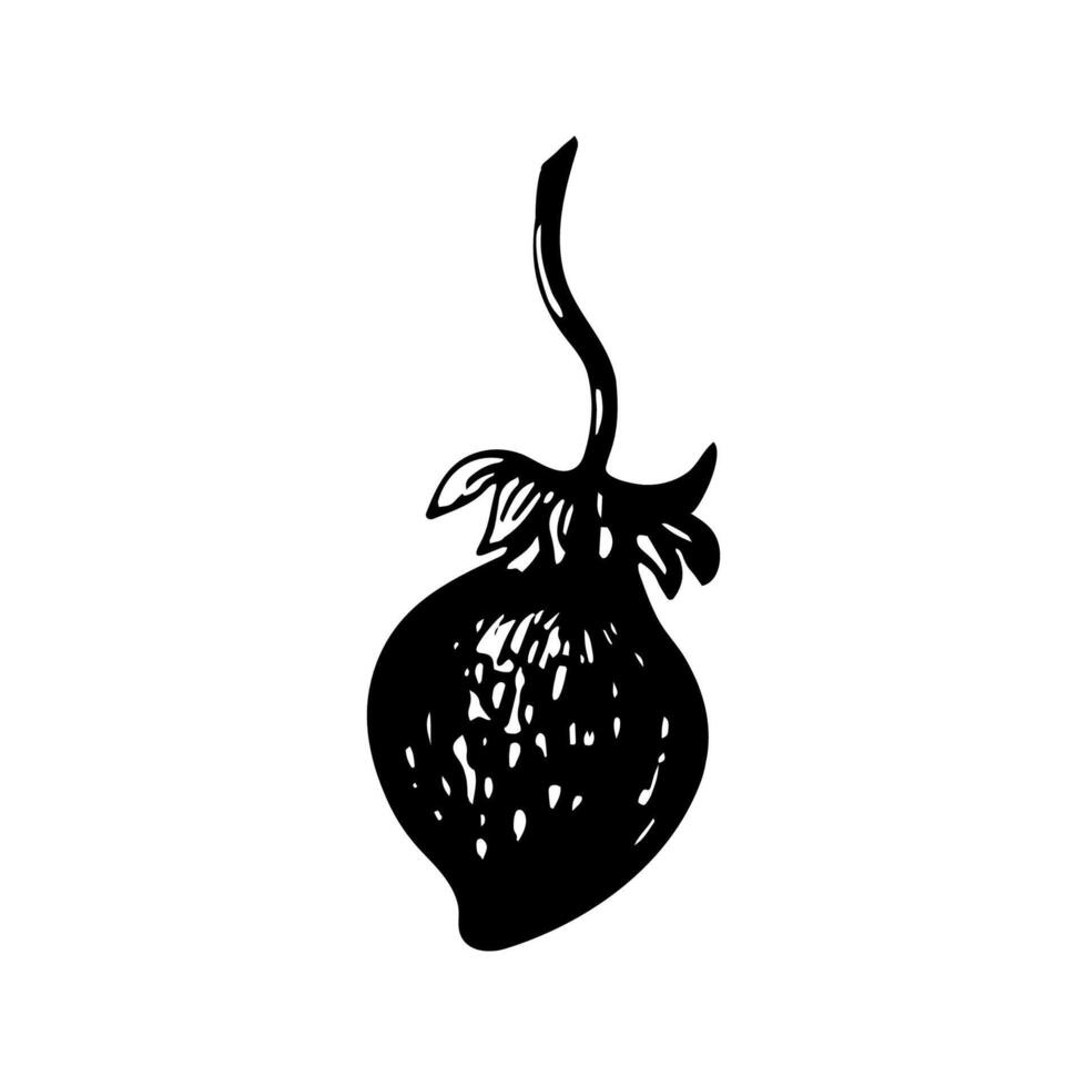 Strawberry sketch in hand drawn style. illustration, summer doodle on white background. Fresh berries for seasonal menu, dessert design, culinary books. vector