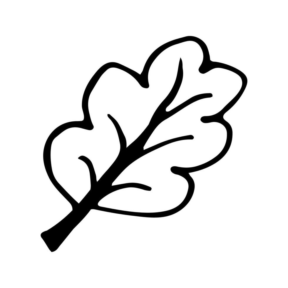 Single hand drawn leaf for winter and autumn decoration. Doodle illustration. Isolated on white background vector