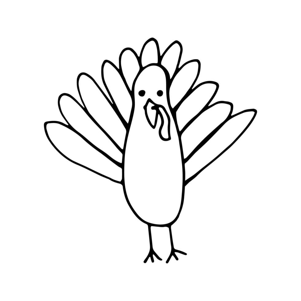 Hand drawn of turkey. For greeting cards and seasonal Thanksgiving design menu. Doodle illustration isolated on white background. vector
