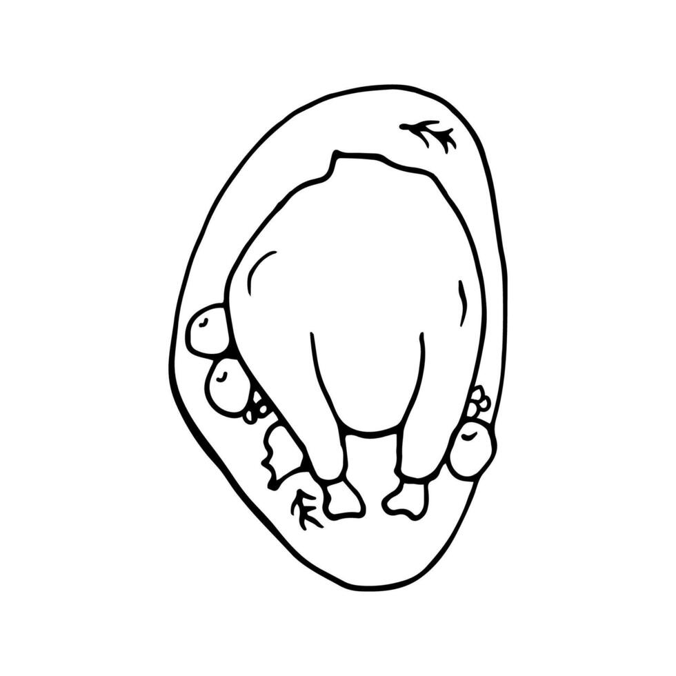 Hand drawn of turkey, chicken. For greeting cards and seasonal Thanksgiving design menu. Doodle illustration isolated on white background. vector