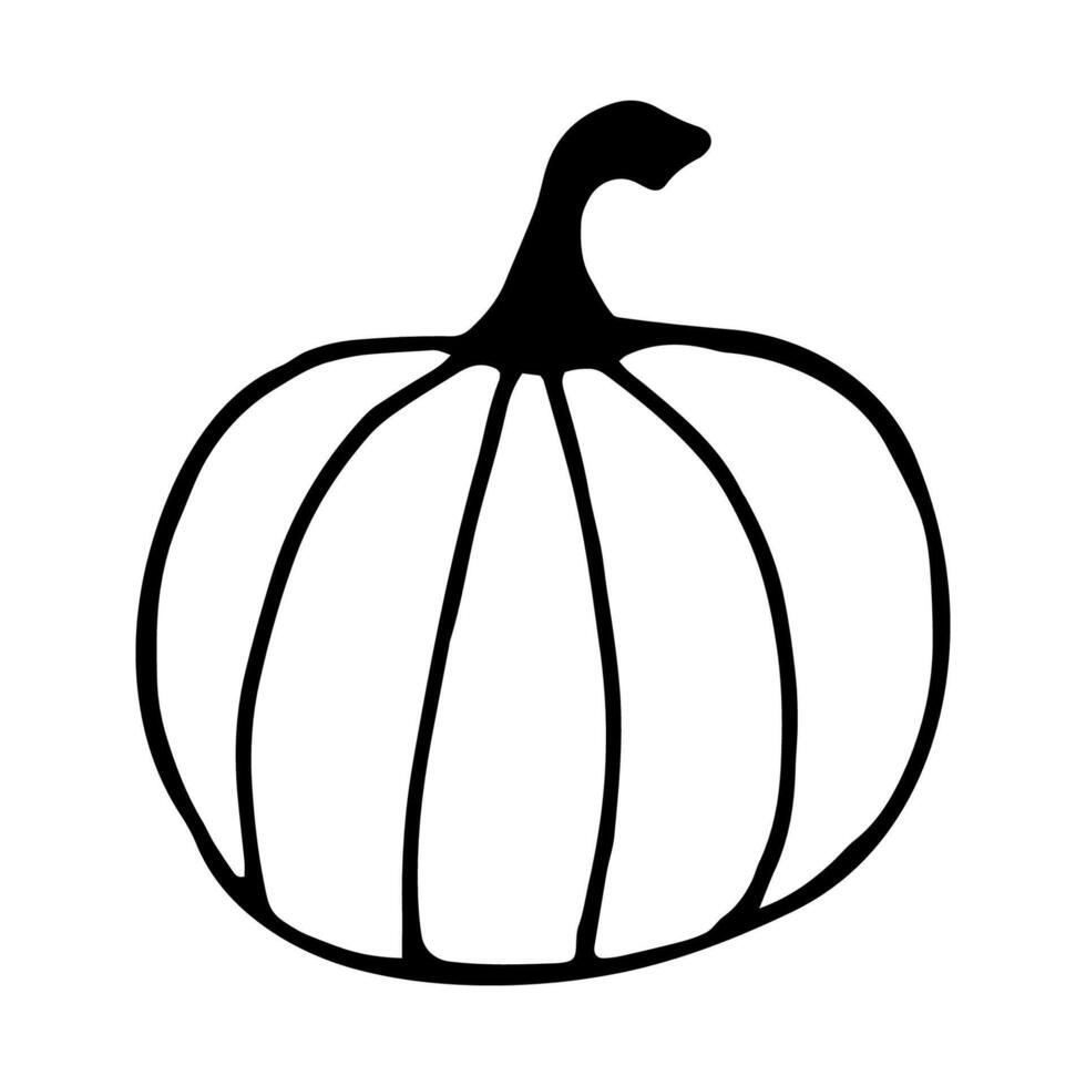 Single hand drawn pumpkin for greeting cards, posters, recipe, culinary design. Isolated on white background. Doodle illustration. vector