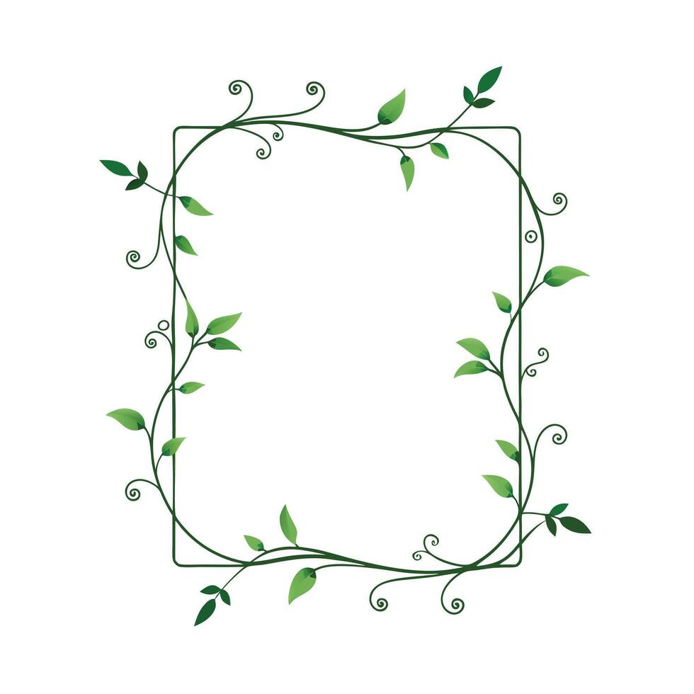 Beautiful Floral Frame Border Illustration vector