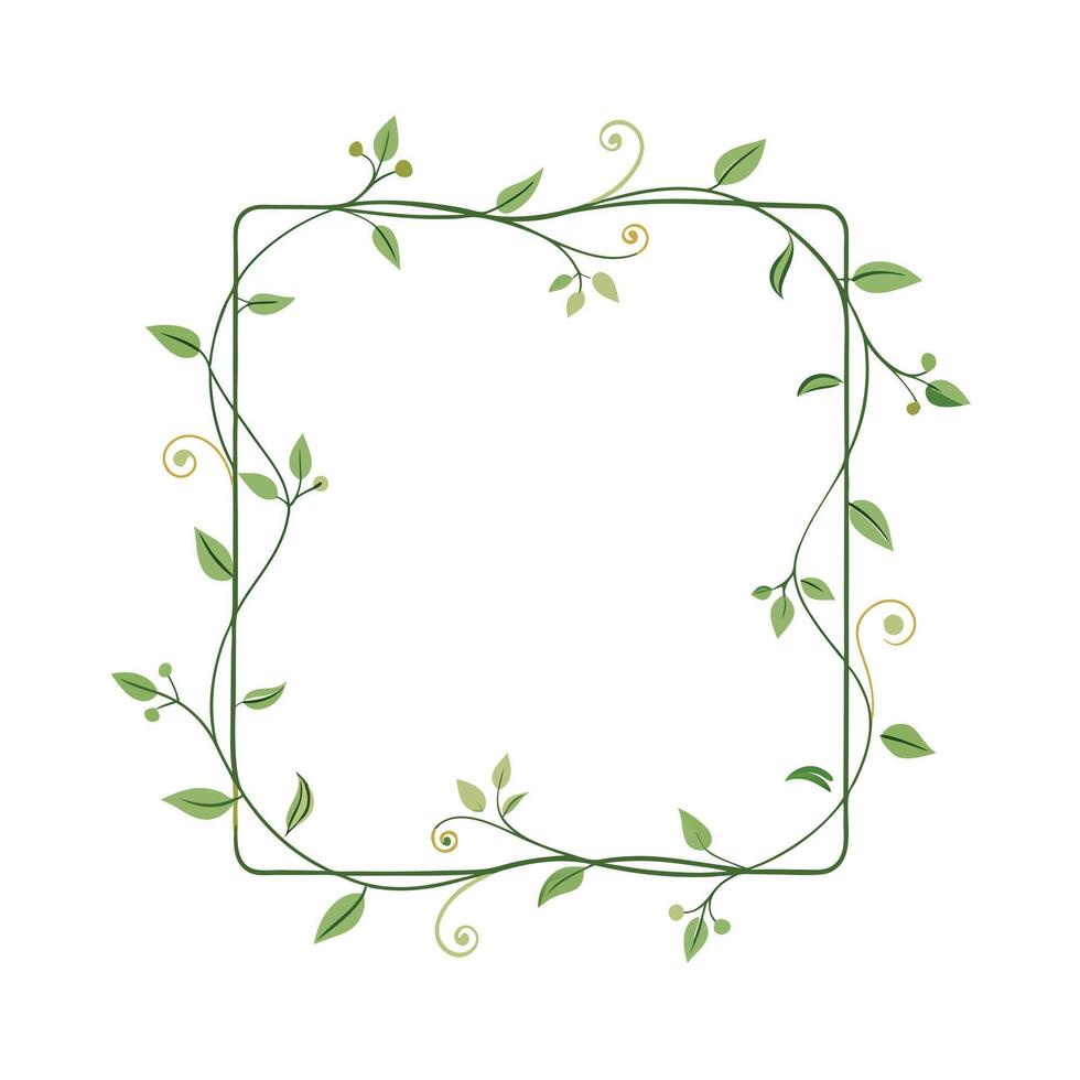 Beautiful Floral Frame Border Illustration vector