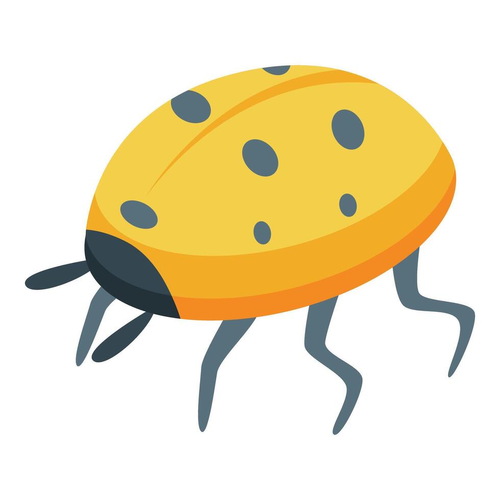 Yellow ladybug walking with black dots isometric view vector