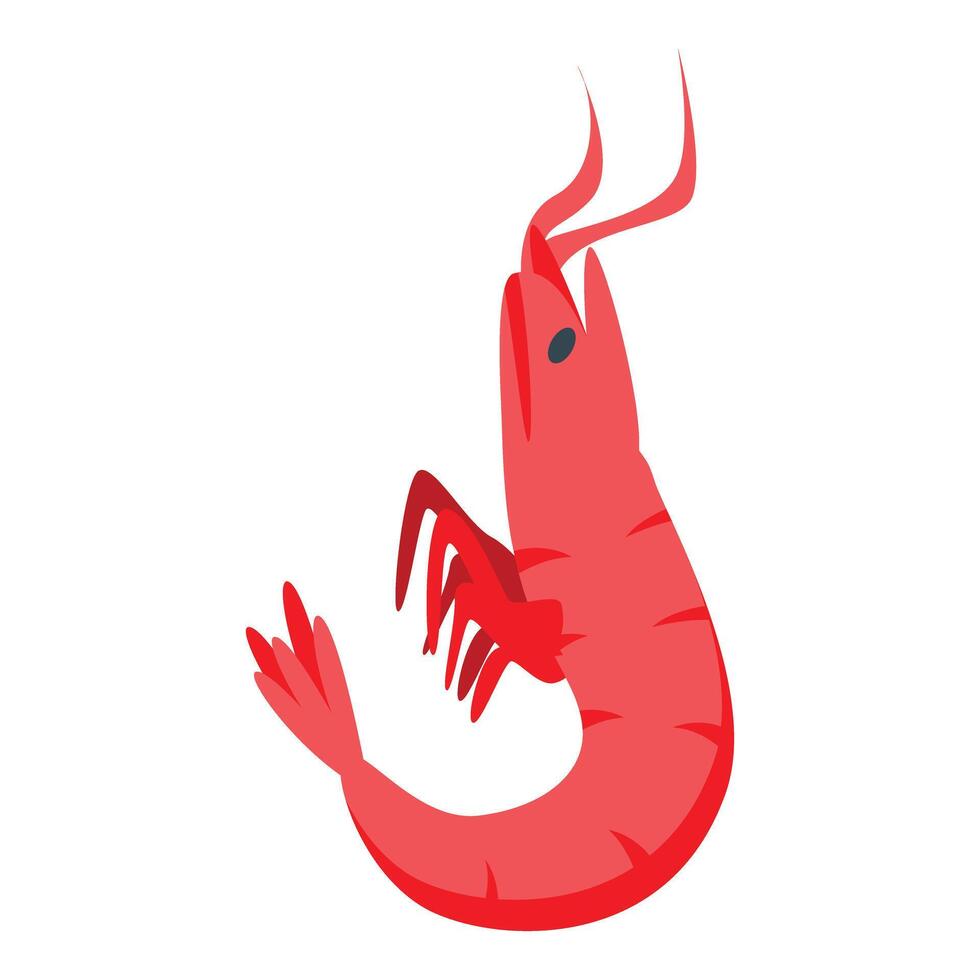 Red shrimp swimming with tail up in water vector